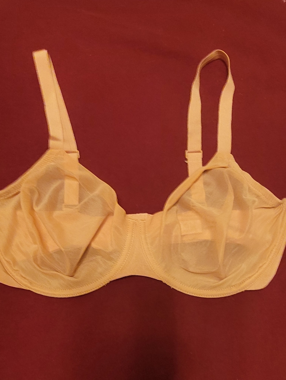 Skims Nude Sheer Underwire Bra - Soft Support